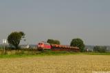 218 397 in Mochenwangen